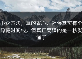 小众方法，真的省心，社保其实有个隐藏时间线，但真正离谱的是一秒就懂了