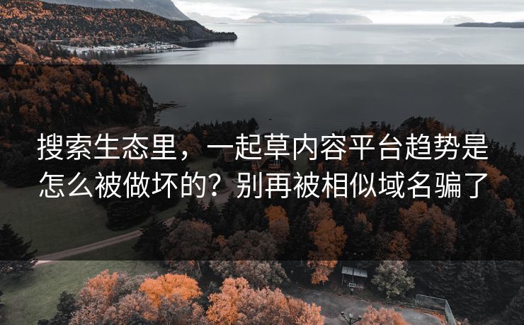 搜索生态里，一起草内容平台趋势是怎么被做坏的？别再被相似域名骗了