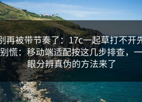 别再被带节奏了：17c一起草打不开先别慌：移动端适配按这几步排查，一眼分辨真伪的方法来了