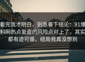 看完我才明白，别急着下结论：91爆料网热点复盘的风险点对上了，其实都有迹可循，结局我真没想到