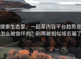 搜索生态里，一起草内容平台趋势是怎么被做坏的？别再被相似域名骗了
