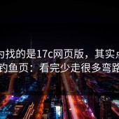 你以为找的是17c网页版，其实点进了钓鱼页：看完少走很多弯路