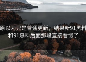 原以为只是普通更新，结果新91黑料和91爆料后面那段直接看愣了