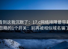 看到这我沉默了：17.c网络排障最容易忽略的1个开关：别再被相似域名骗了