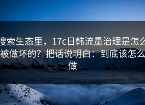 搜索生态里，17c日韩流量治理是怎么被做坏的？把话说明白：到底该怎么做