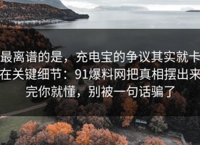 最离谱的是，充电宝的争议其实就卡在关键细节：91爆料网把真相摆出来完你就懂，别被一句话骗了