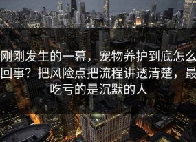 刚刚发生的一幕，宠物养护到底怎么回事？把风险点把流程讲透清楚，最吃亏的是沉默的人