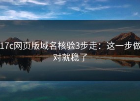 17c网页版域名核验3步走：这一步做对就稳了