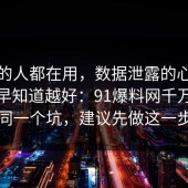 业内的人都在用，数据泄露的心理机制越早知道越好：91爆料网千万别踩同一个坑，建议先做这一步
