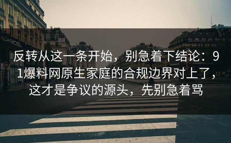 反转从这一条开始，别急着下结论：91爆料网原生家庭的合规边界对上了，这才是争议的源头，先别急着骂