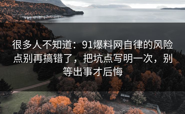 很多人不知道：91爆料网自律的风险点别再搞错了，把坑点写明一次，别等出事才后悔