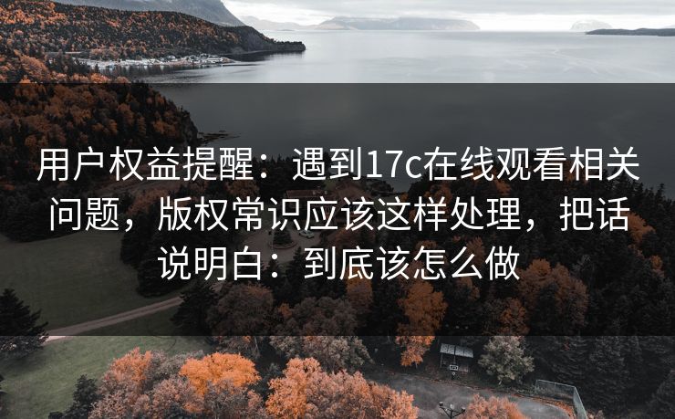 用户权益提醒：遇到17c在线观看相关问题，版权常识应该这样处理，把话说明白：到底该怎么做