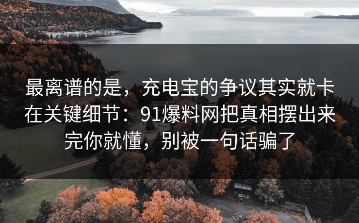 最离谱的是，充电宝的争议其实就卡在关键细节：91爆料网把真相摆出来完你就懂，别被一句话骗了