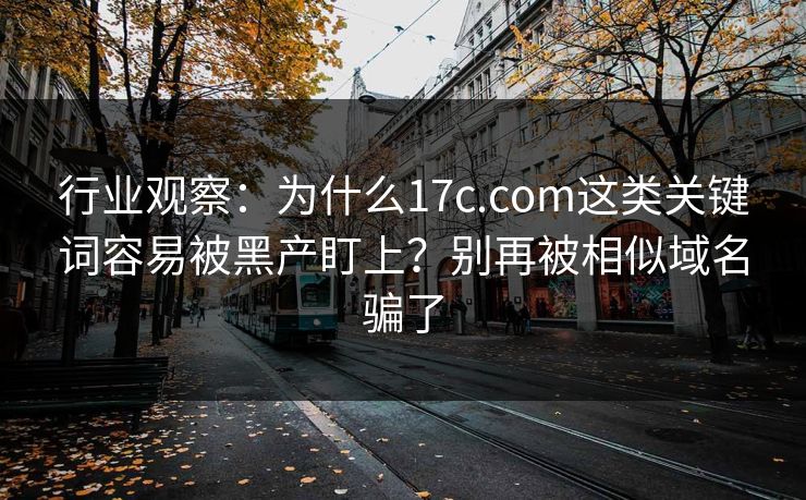 行业观察：为什么17c.com这类关键词容易被黑产盯上？别再被相似域名骗了