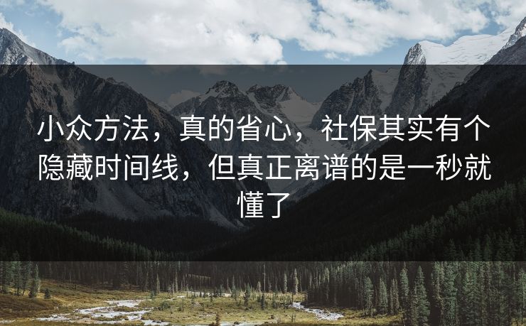 小众方法,真的省心,社保其实有个隐藏时间线,但真正离谱的是一秒就懂了 小众方法,真的省心,社保其实有个隐藏时间线,但真正离谱的是一秒就懂了
