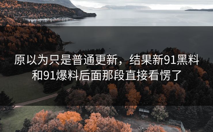 原以为只是普通更新，结果新91黑料和91爆料后面那段直接看愣了